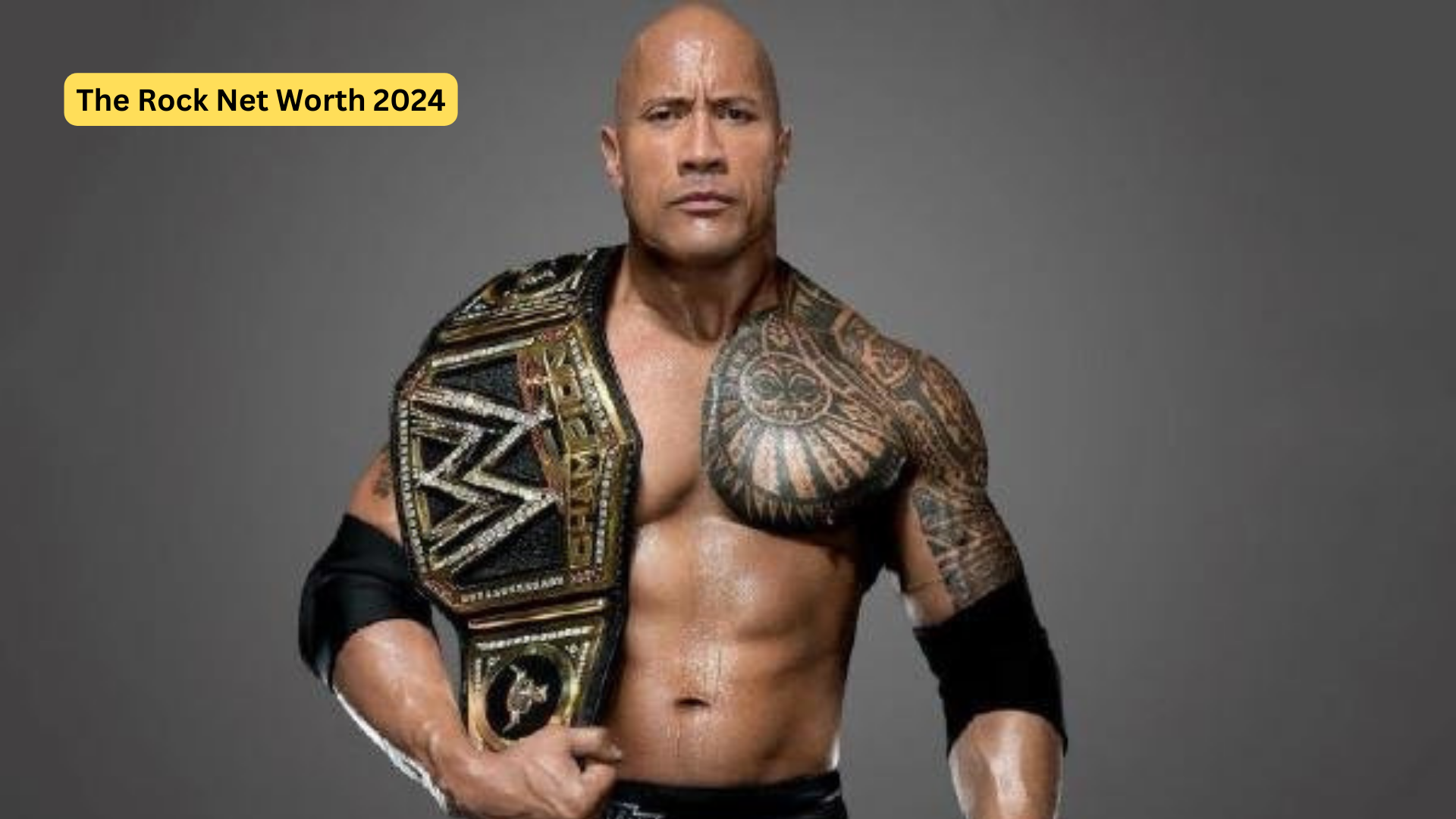 The Rock Net Worth 2024