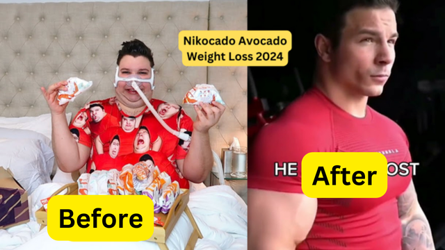 Nikocado Avocado Weight Loss 2024